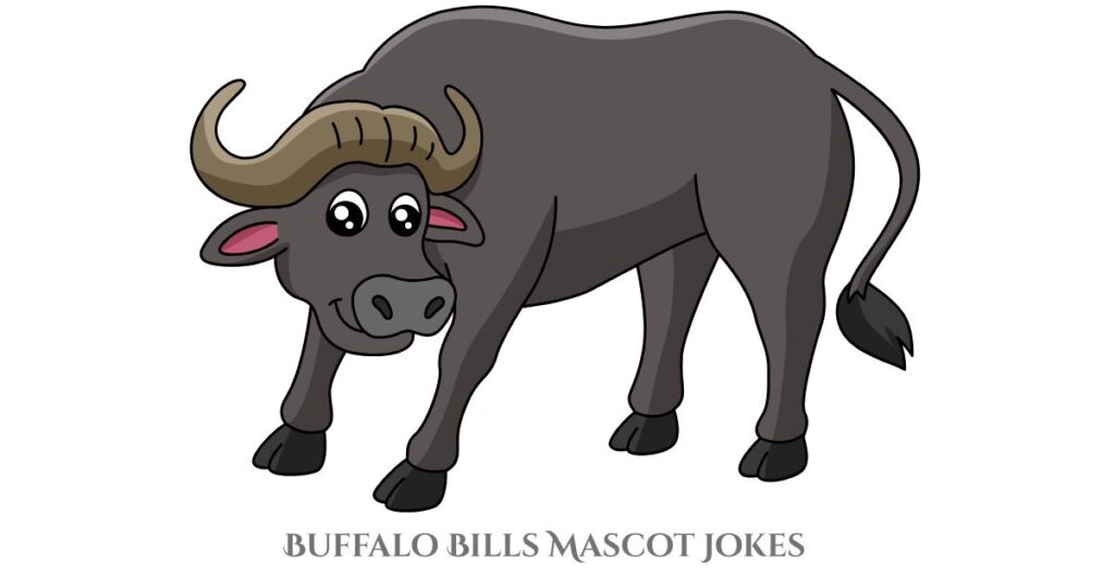 Buffalo Bills Mascot Jokes