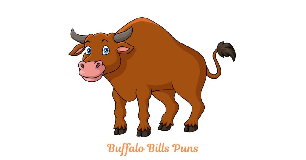 Buffalo Bills Puns